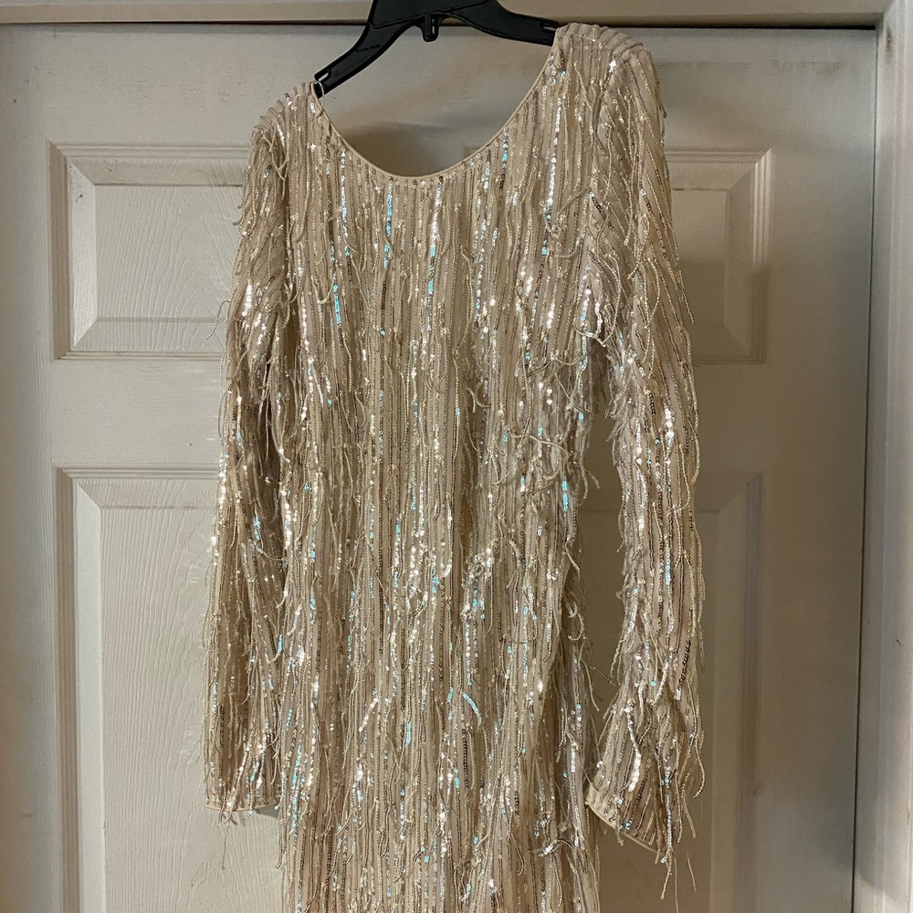 Long sleeve rhinestone fringe dress! Never worn!